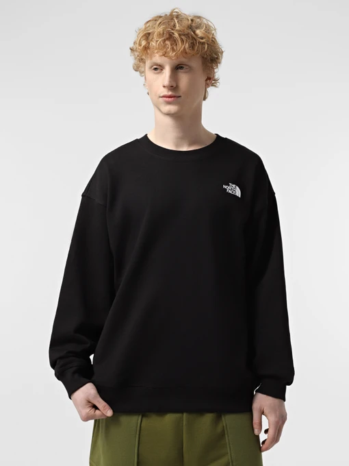 Худи и свитшоты The North Face NSE Oversized Crew модель NF0A8C3UJK31 Фото