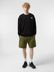 Худі та світшоти The North Face NSE Oversized Crew модель NF0A8C3UJK31 Фото
