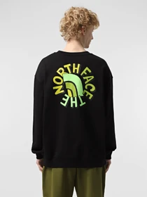 Худі та світшоти The North Face NSE Oversized Crew модель NF0A8C3UJK31 Фото