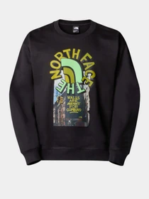 Худі та світшоти The North Face NSE Oversized Crew модель NF0A8C3UJK31 Фото