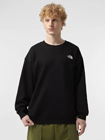 Худи и свитшоты The North Face NSE Oversized Crew модель NF0A8C3UJK31 Фото
