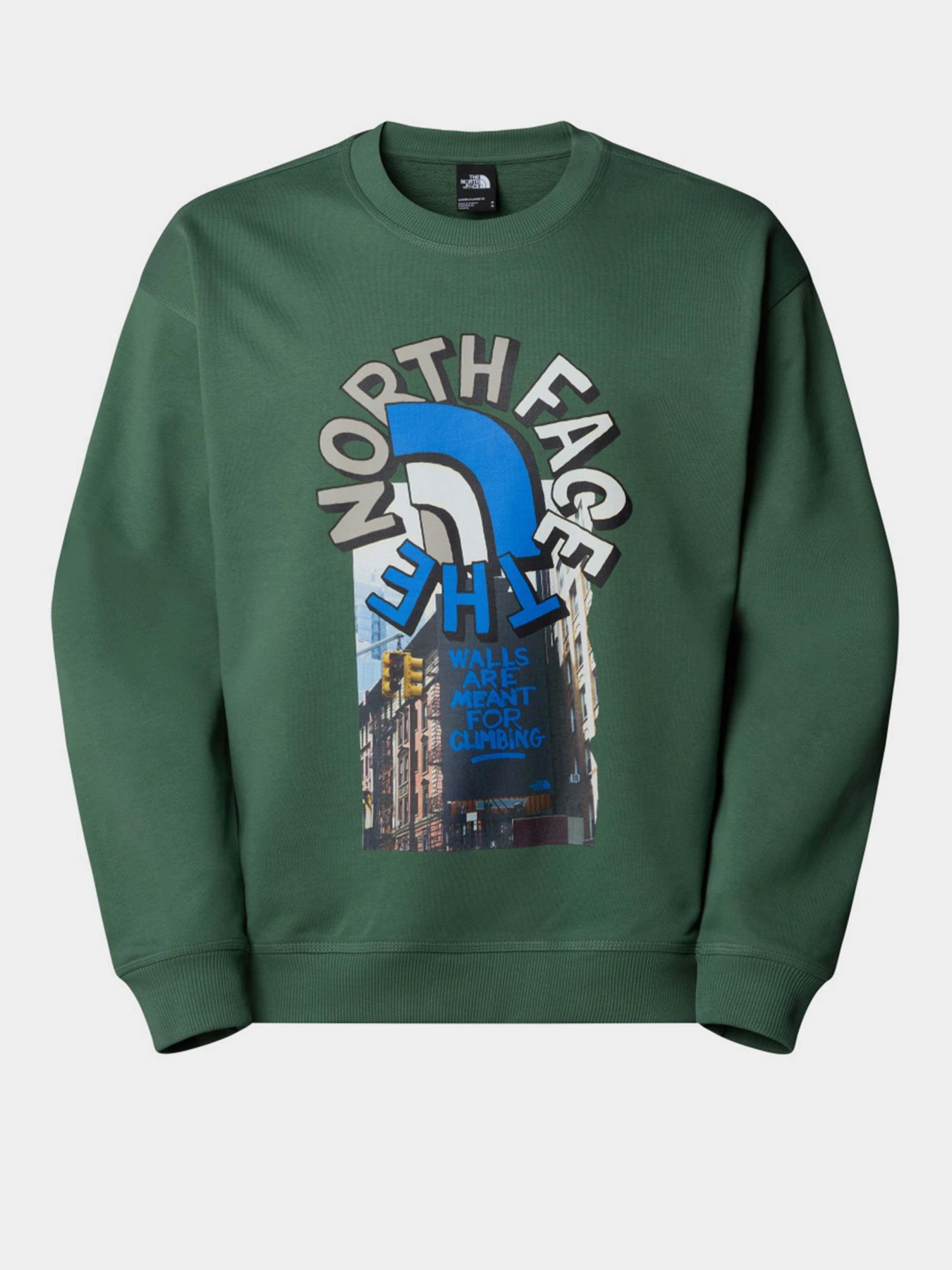 Худі та світшоти The North Face модель NF0A8C3UHCH1 Фото