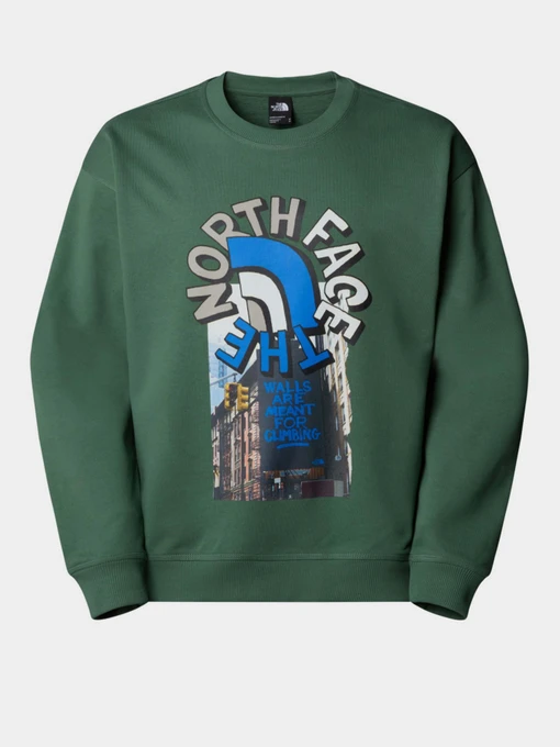 Худі та світшоти The North Face модель NF0A8C3UHCH1 Фото