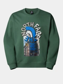 Худі та світшоти The North Face модель NF0A8C3UHCH1 Фото