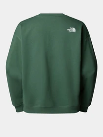Худі та світшоти The North Face модель NF0A8C3UHCH1 Фото