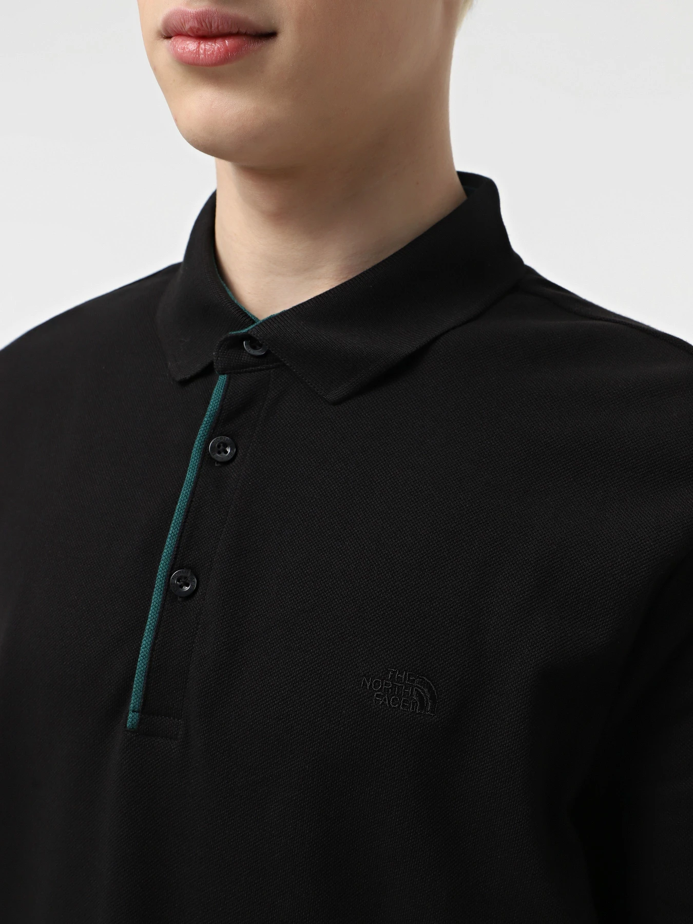 Футболки и поло The North Face Premium Slim модель NF0A8C1NJK31 Футболки и поло The North Face Premium Slim модель NF0A8C1NJK31 Фото