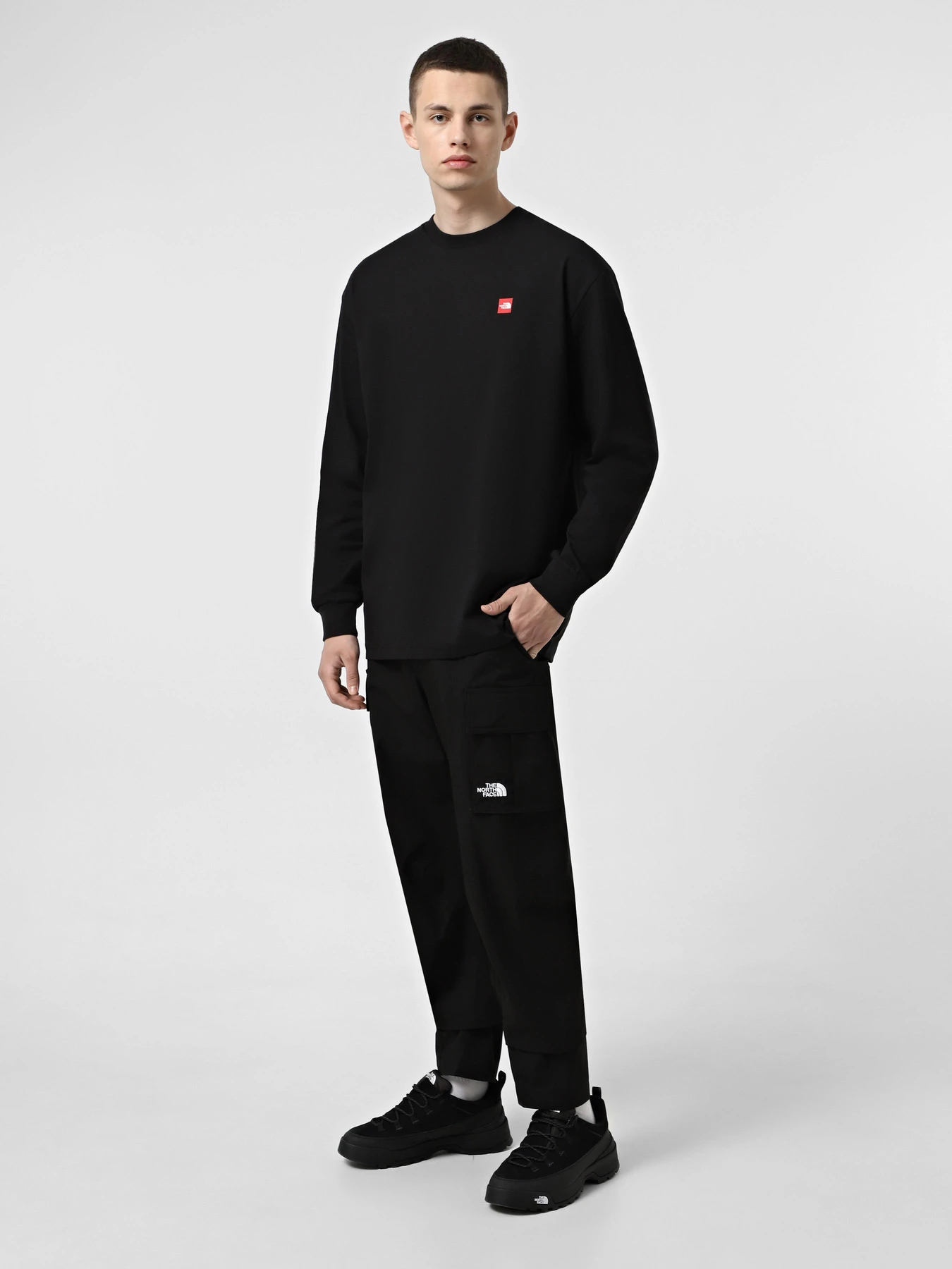 Худі та світшоти The North Face Axys модель NF0A8C1TJK31 Фото