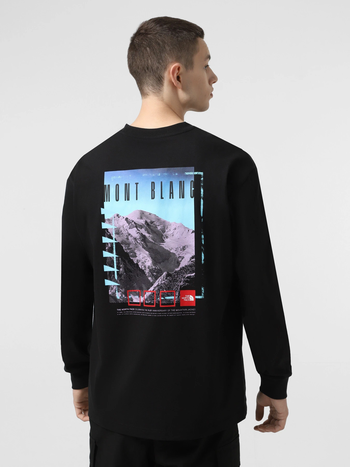 Худі та світшоти The North Face Axys модель NF0A8C1TJK31 Фото