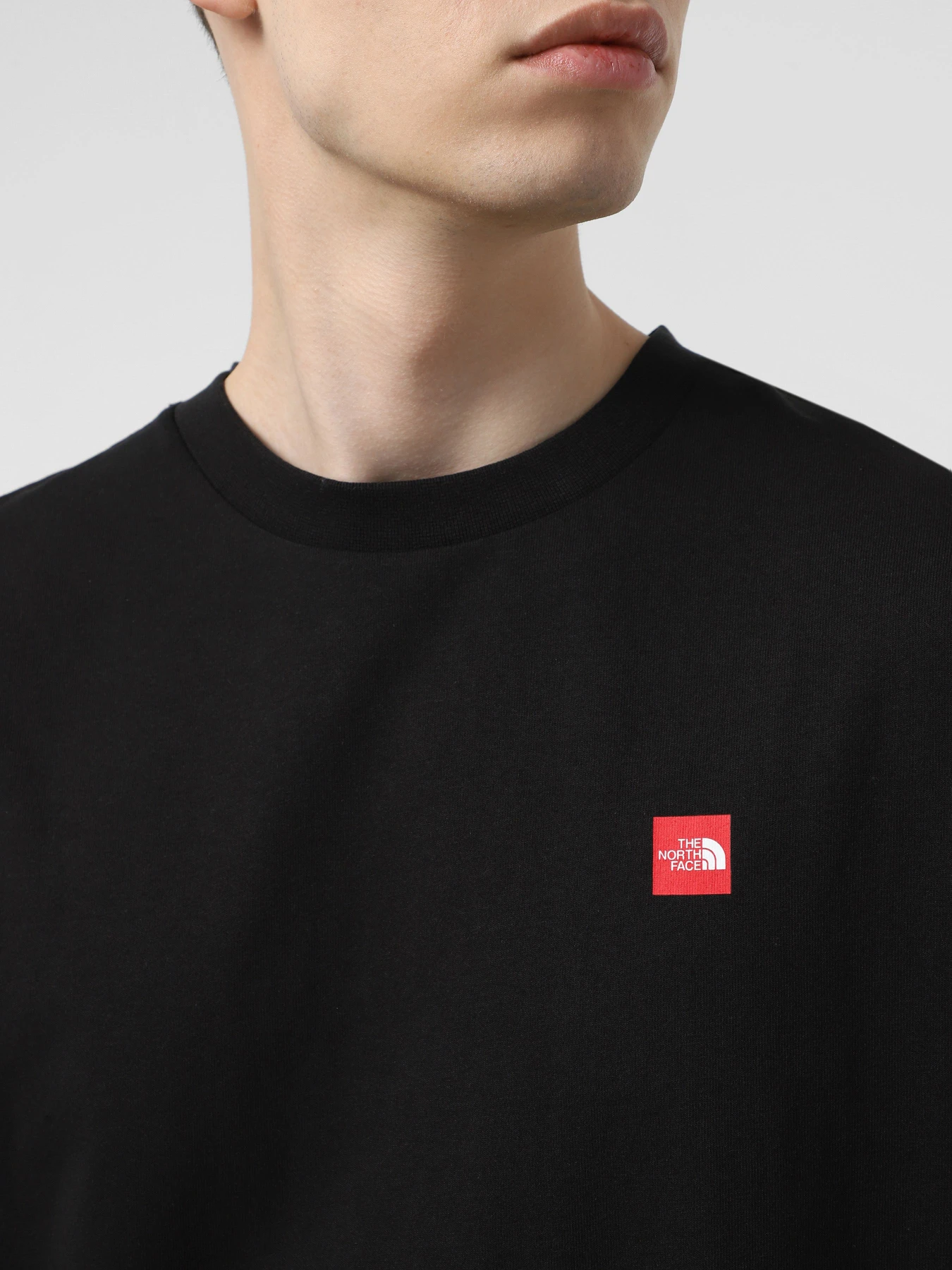 Худі та світшоти The North Face Axys модель NF0A8C1TJK31 Фото