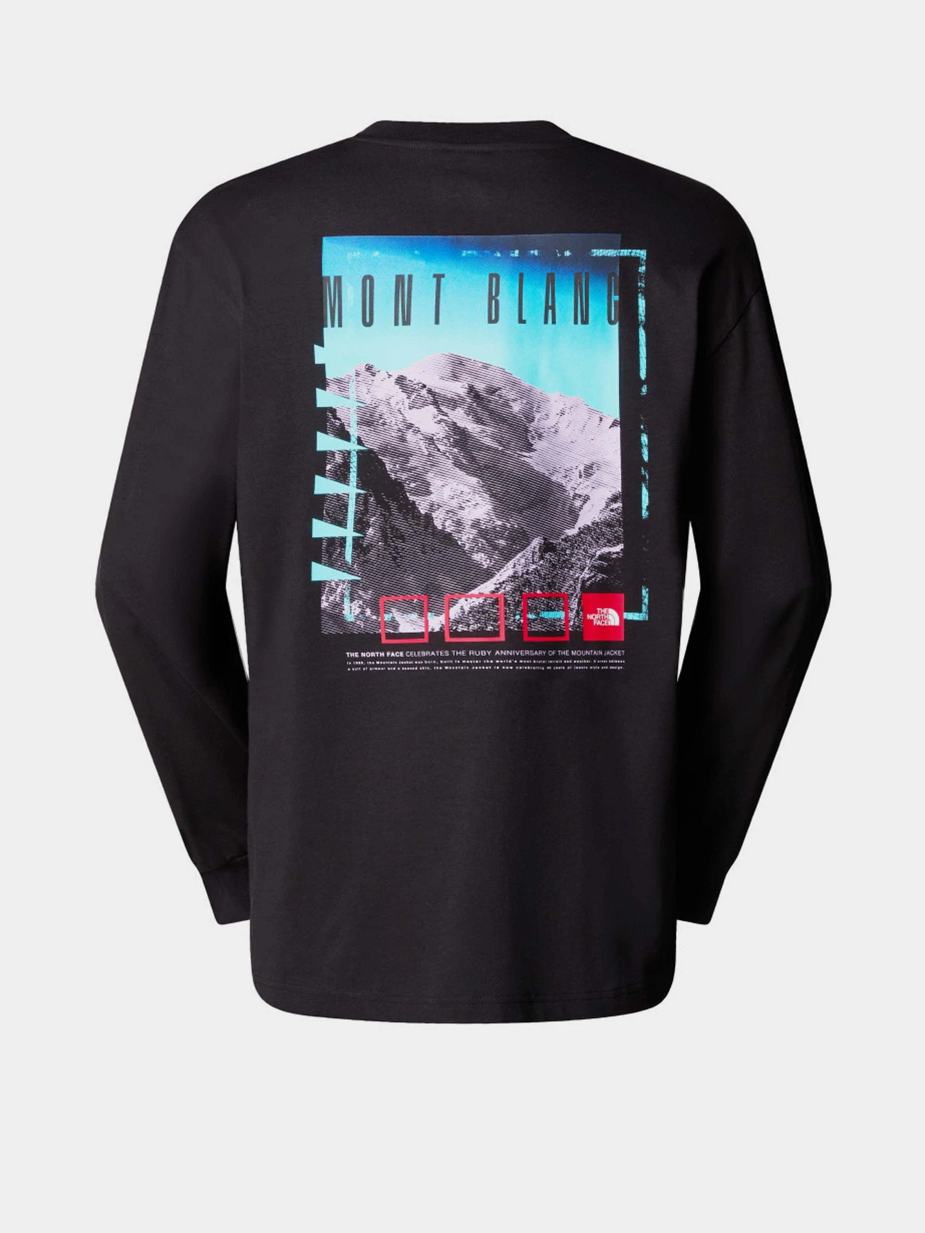Худі та світшоти The North Face Axys модель NF0A8C1TJK31 Фото