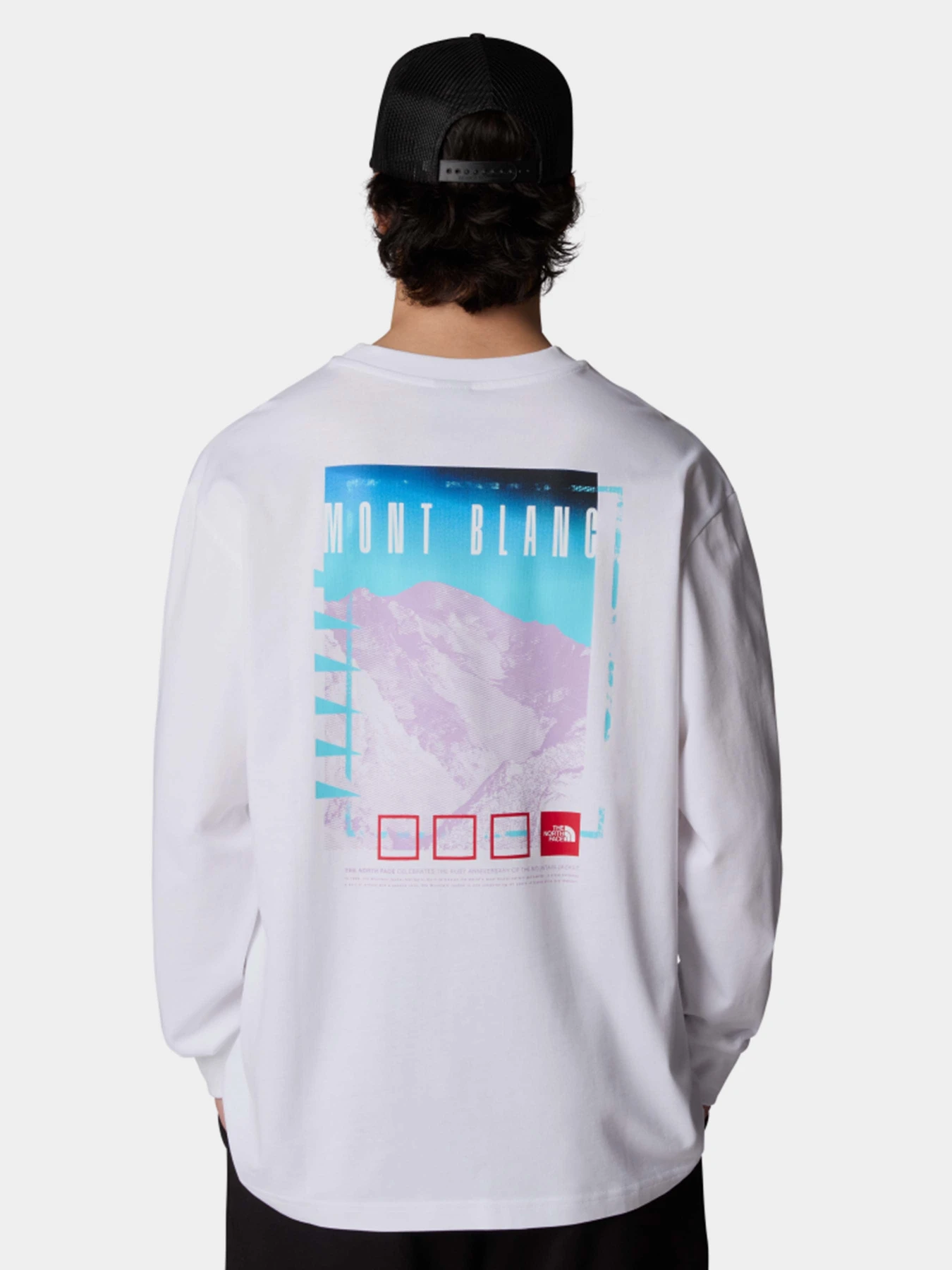 Худи и свитшоты The North Face Axys Oversized L/S модель NF0A8C1TFN41 Фото