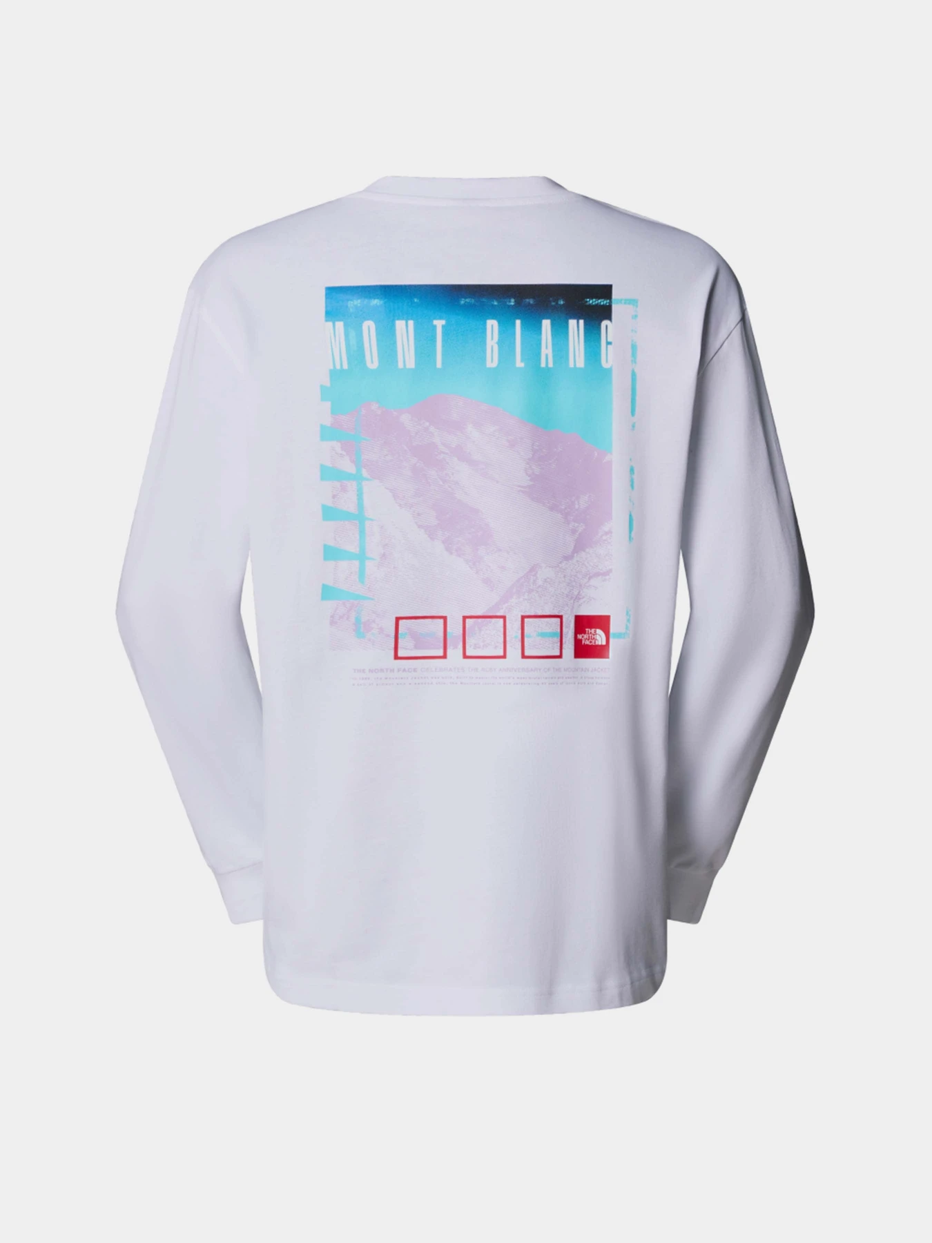Худи и свитшоты The North Face Axys Oversized L/S модель NF0A8C1TFN41 Фото