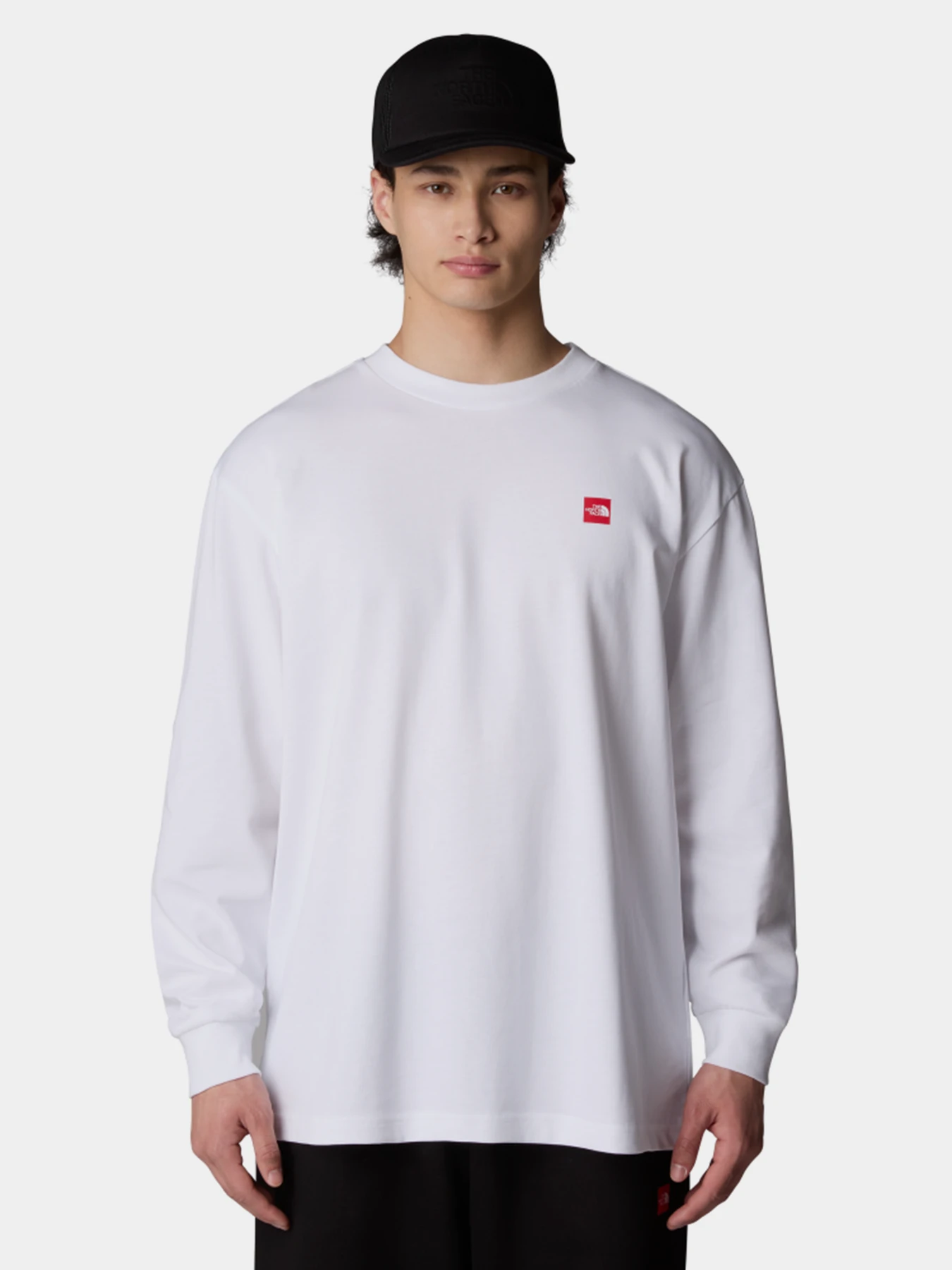 Худи и свитшоты The North Face Axys Oversized L/S модель NF0A8C1TFN41 Фото