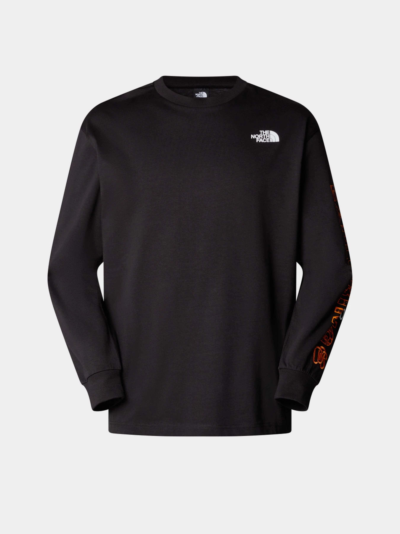 Худи и свитшоты The North Face Ls Nse Oversized модель NF0A8C3ZJK31 Фото