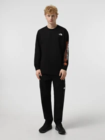 Худи и свитшоты The North Face Ls Nse Oversized модель NF0A8C3ZJK31 Фото