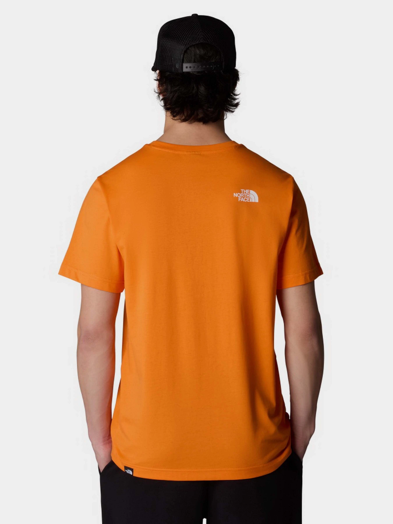 Футболки и поло The North Face Simple Dome модель NF0A87NG6HI1 Футболки и поло The North Face Simple Dome модель NF0A87NG6HI1 Фото