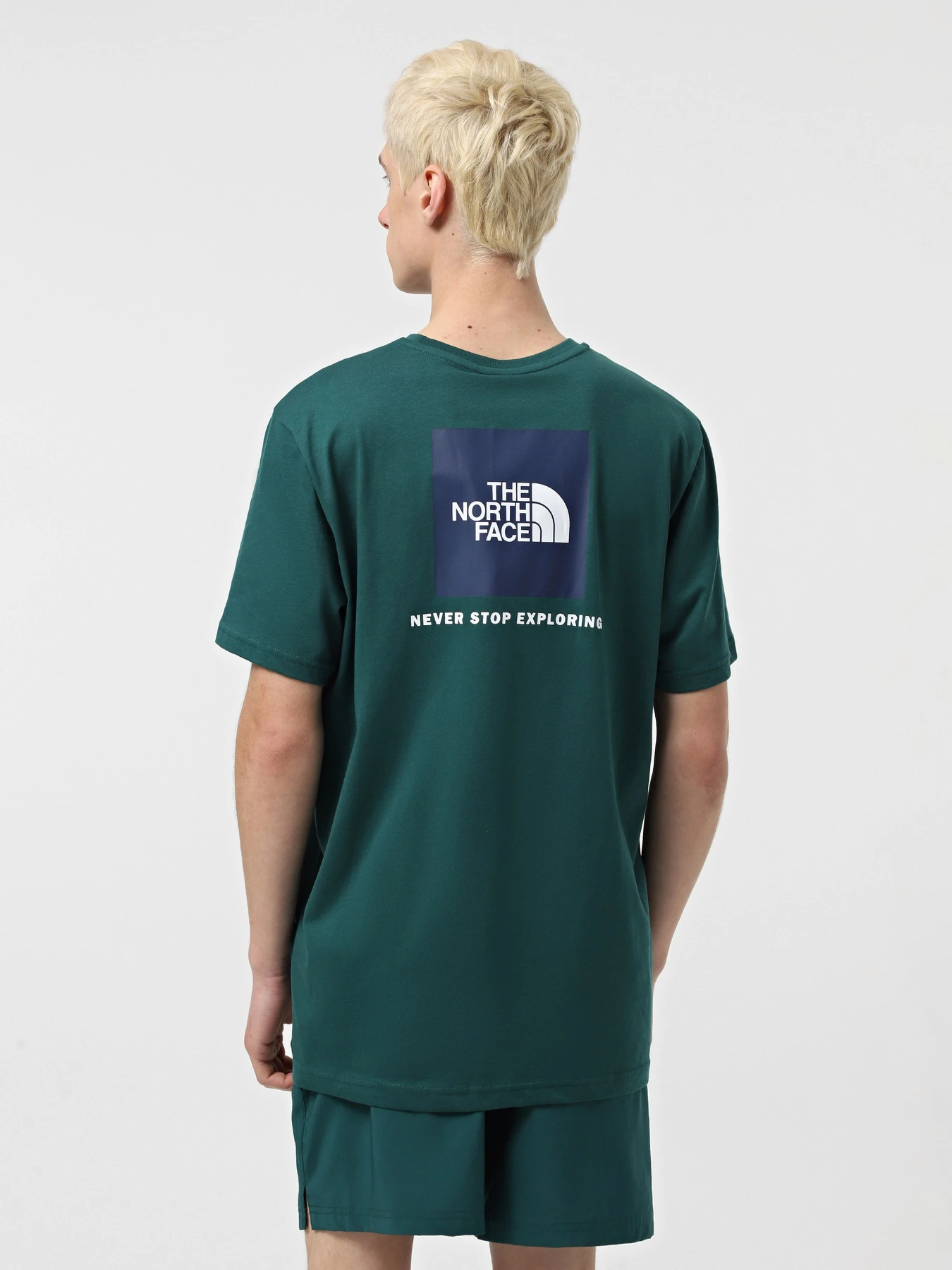 Футболки и поло The North Face Red Box модель NF0A87NPA1B1 Футболки и поло The North Face Red Box модель NF0A87NPA1B1 Фото