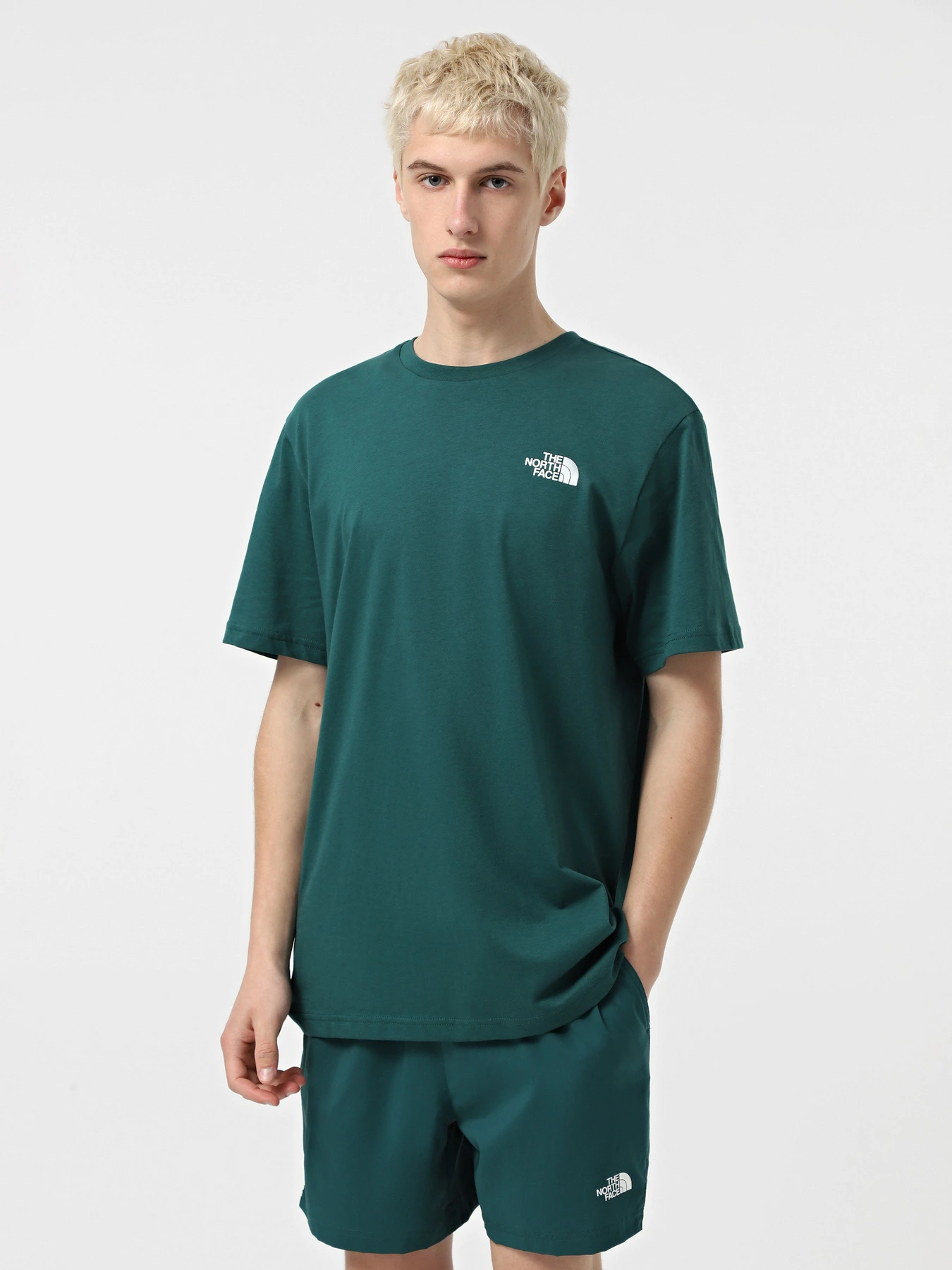 Футболки и поло The North Face Red Box модель NF0A87NPA1B1 Футболки и поло The North Face Red Box модель NF0A87NPA1B1 Фото
