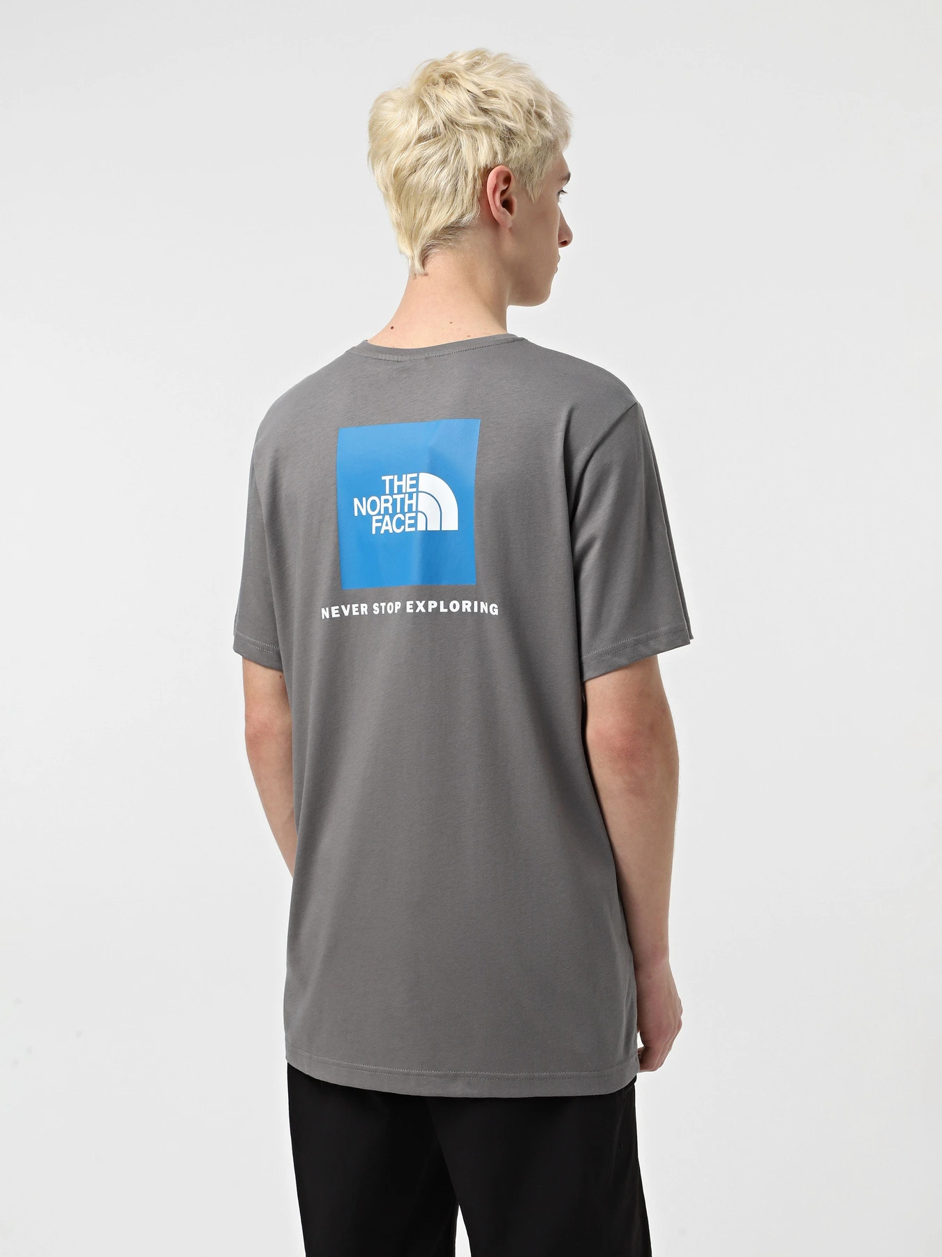 Футболки и поло The North Face Red Box модель NF0A87NPARX1 Футболки и поло The North Face Red Box модель NF0A87NPARX1 Фото