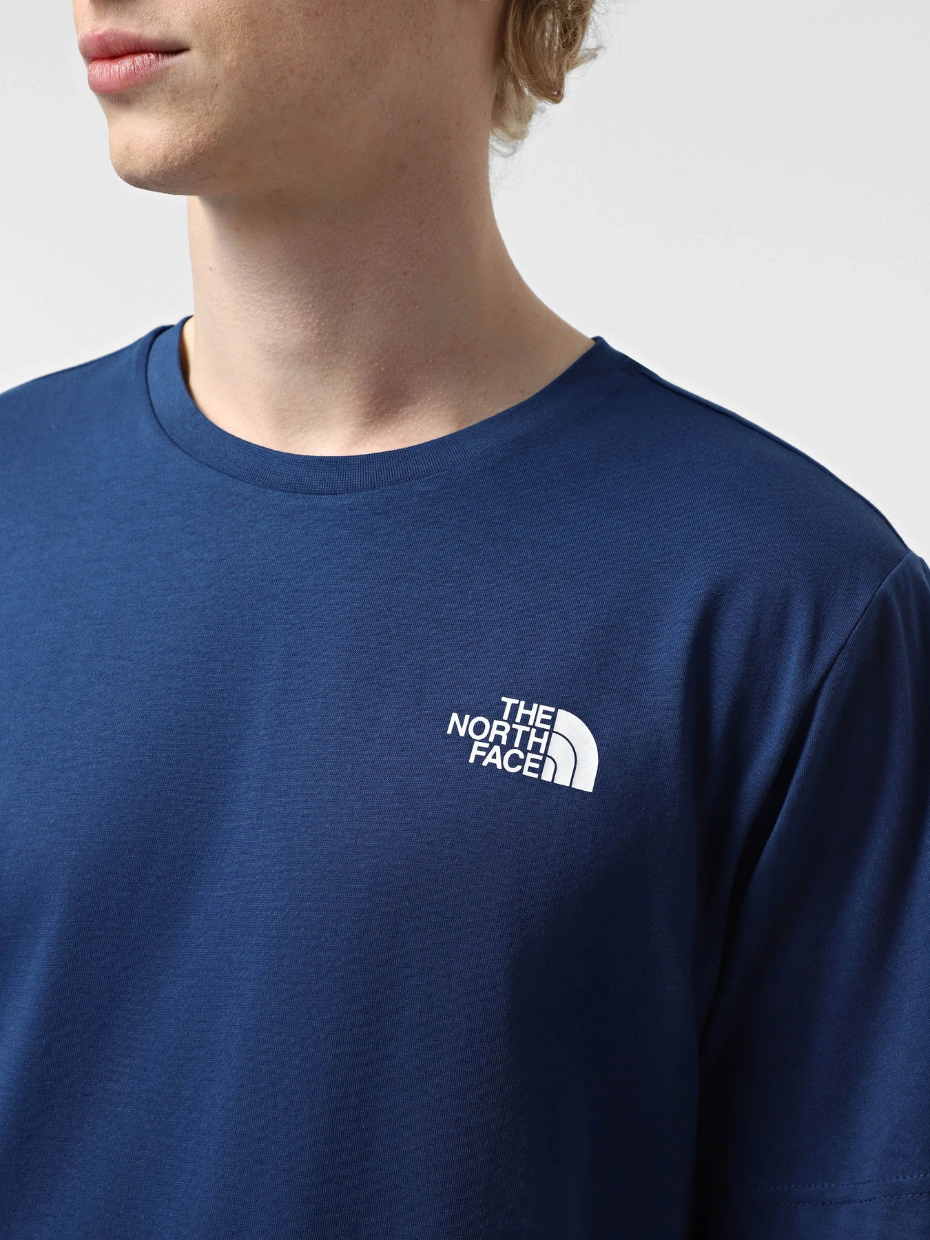 Футболки и поло The North Face Redbox Celebration модель NF0A87NVD1R1 Футболки и поло The North Face Redbox Celebration модель NF0A87NVD1R1 Фото