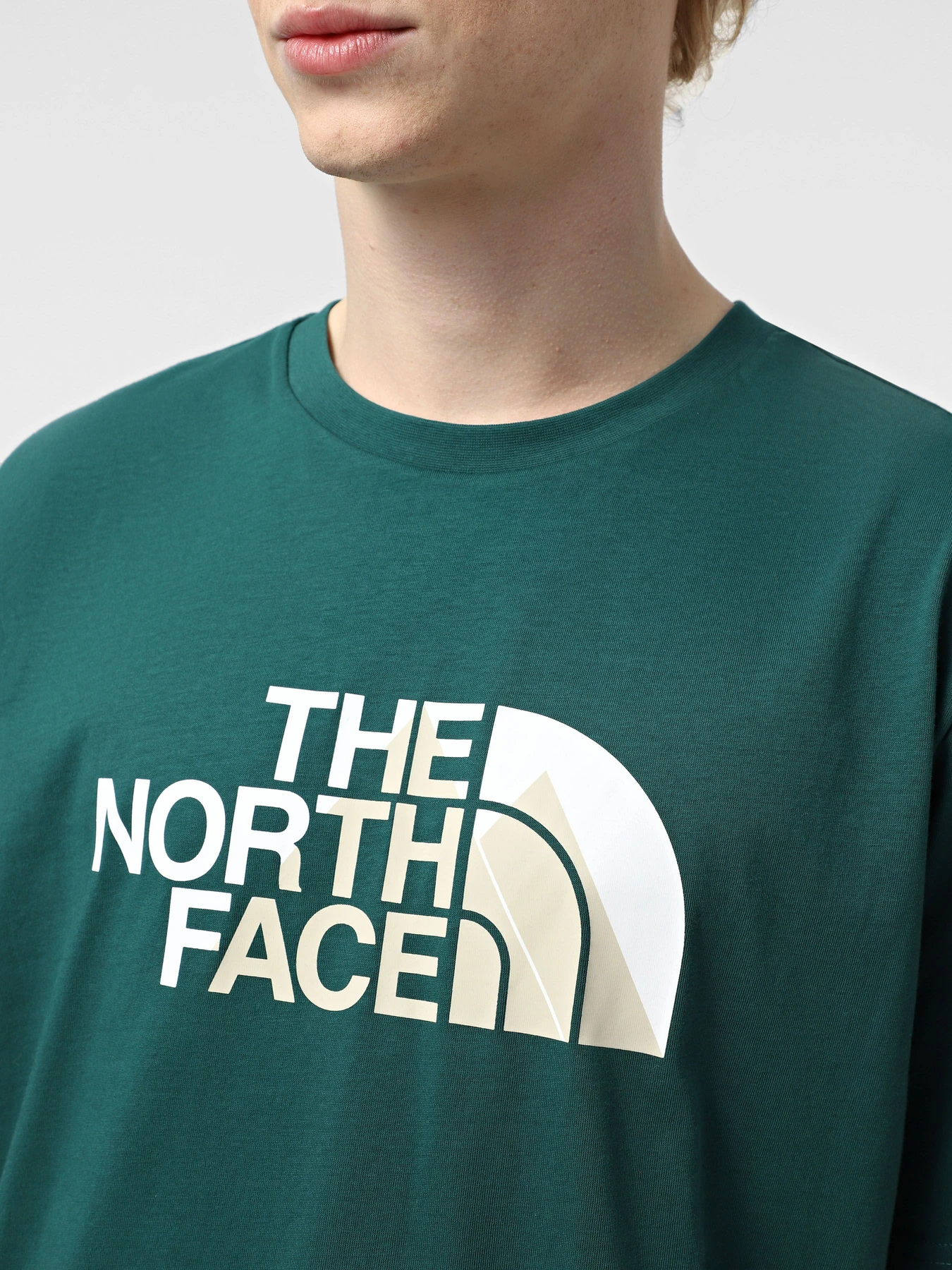 Футболки и поло The North Face Biner Graphic 1 модель NF0A894X6GI1 Футболки и поло The North Face Biner Graphic 1 модель NF0A894X6GI1 Фото