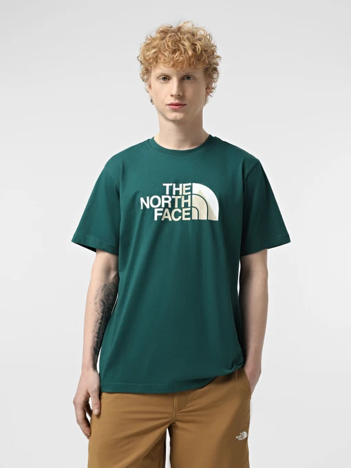 Футболки и поло The North Face Biner Graphic 1 модель NF0A894X6GI1 Фото