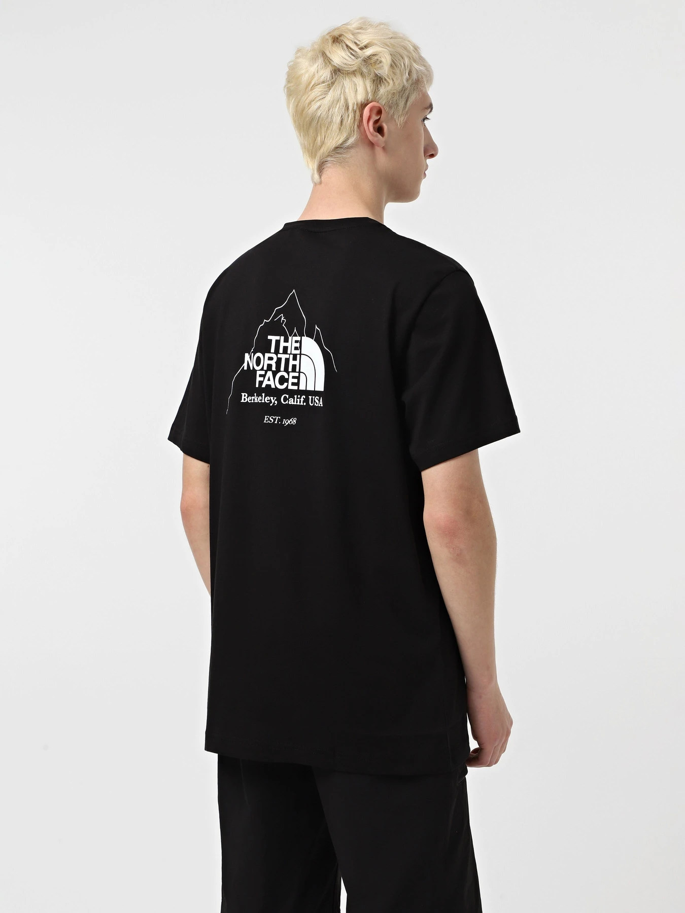 Футболки и поло The North Face Biner Graphic 4 модель NF0A894ZJK31 Футболки и поло The North Face Biner Graphic 4 модель NF0A894ZJK31 Фото