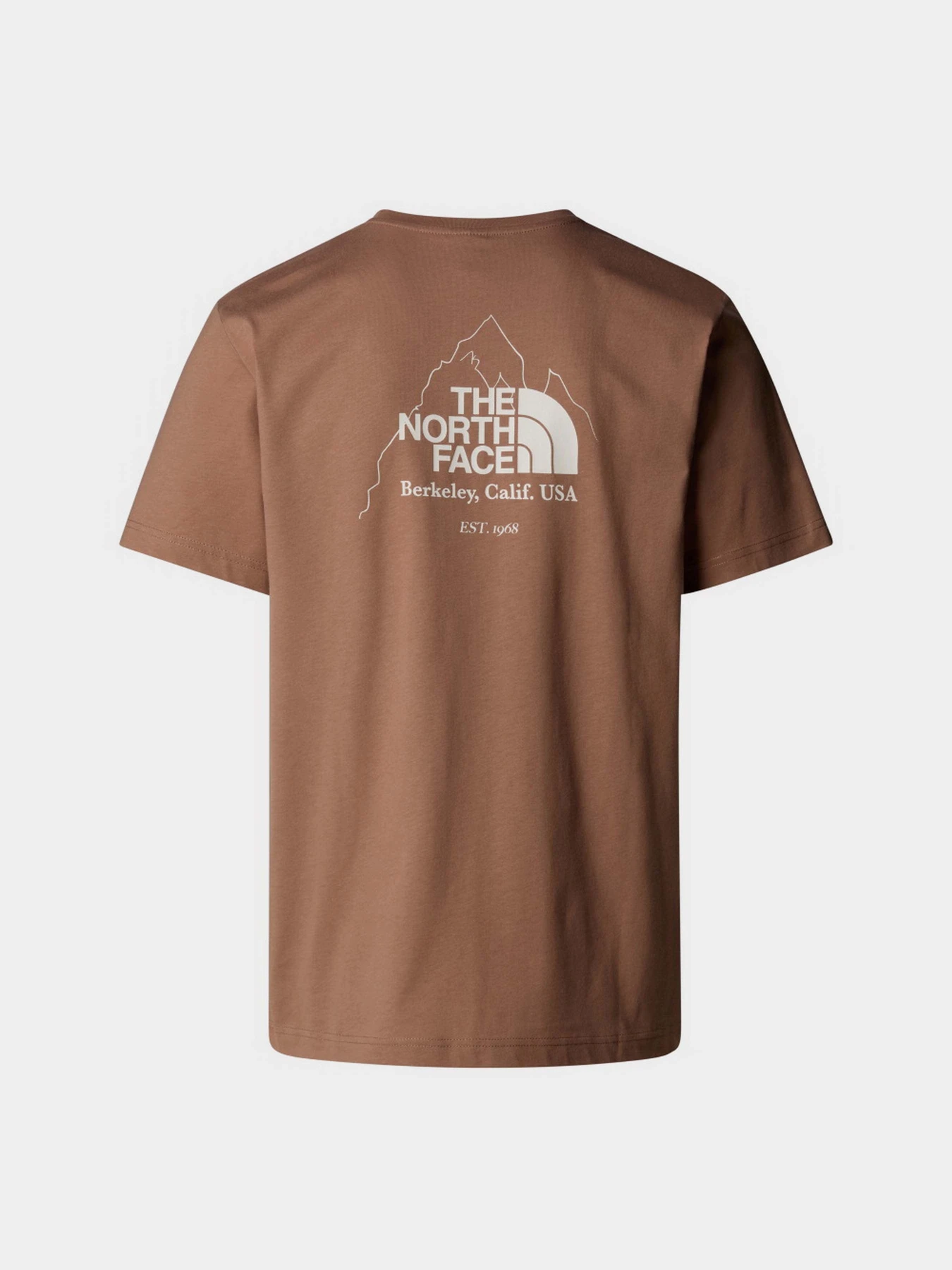 Футболки и поло The North Face Biner Graphic 4 модель NF0A894Z6IH1 Футболки и поло The North Face Biner Graphic 4 модель NF0A894Z6IH1 Фото