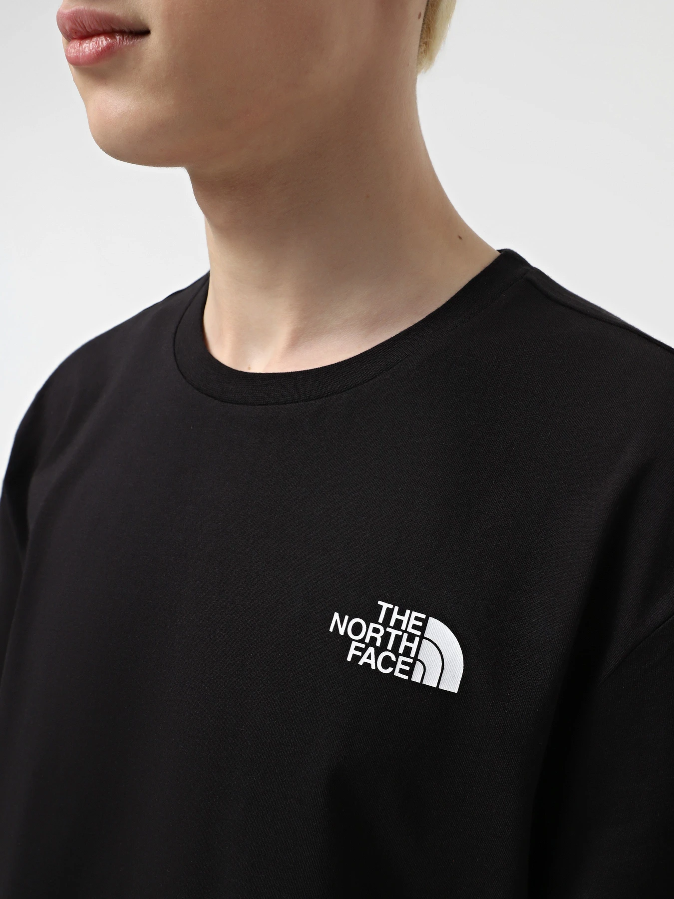 Футболки и поло The North Face Vertical модель NF0A89FPJK31 Футболки и поло The North Face Vertical модель NF0A89FPJK31 Фото
