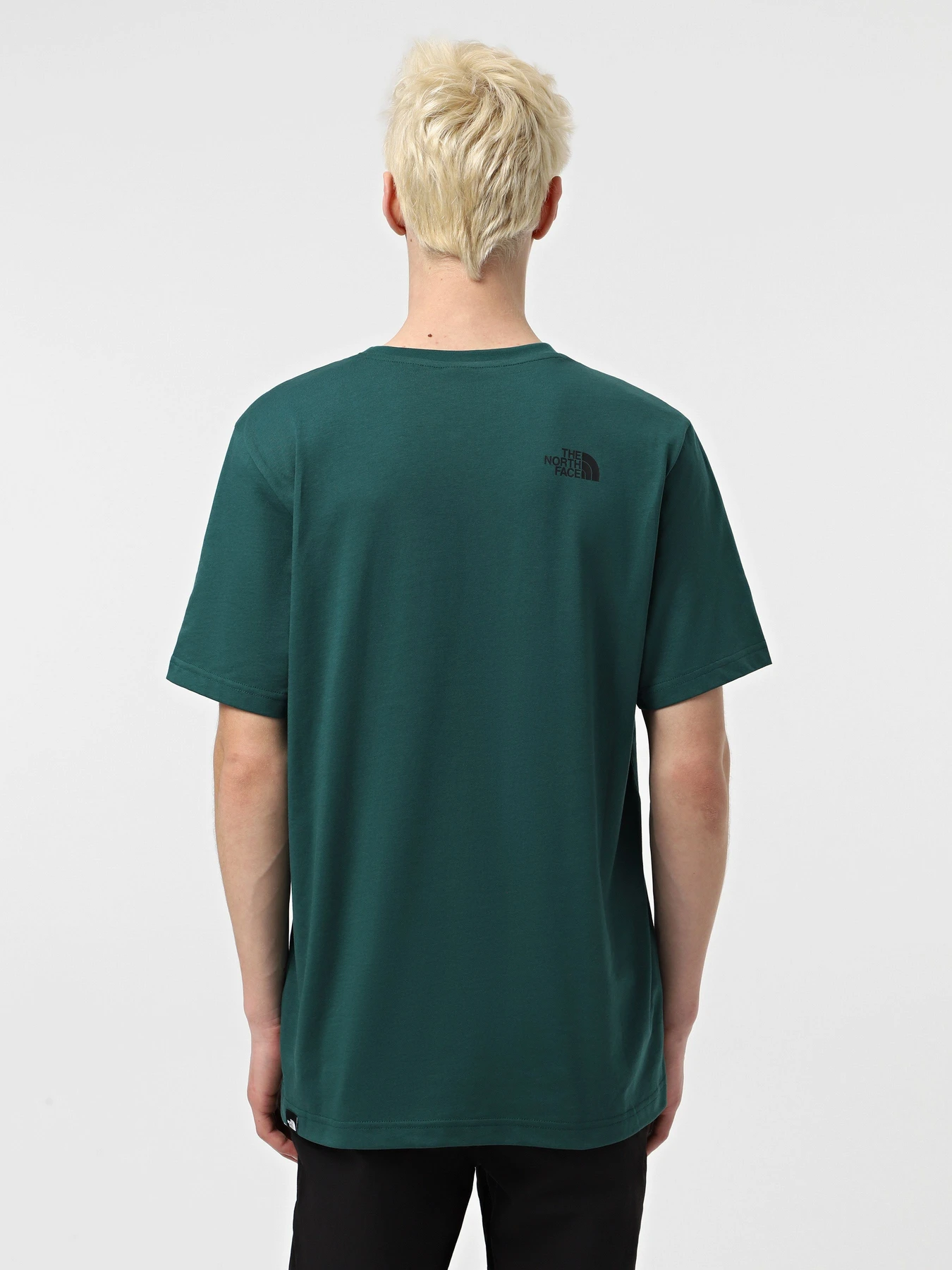 Футболки і поло The North Face Fine модель NF0A8A6M6GI1 Футболки і поло The North Face Fine модель NF0A8A6M6GI1 Фото
