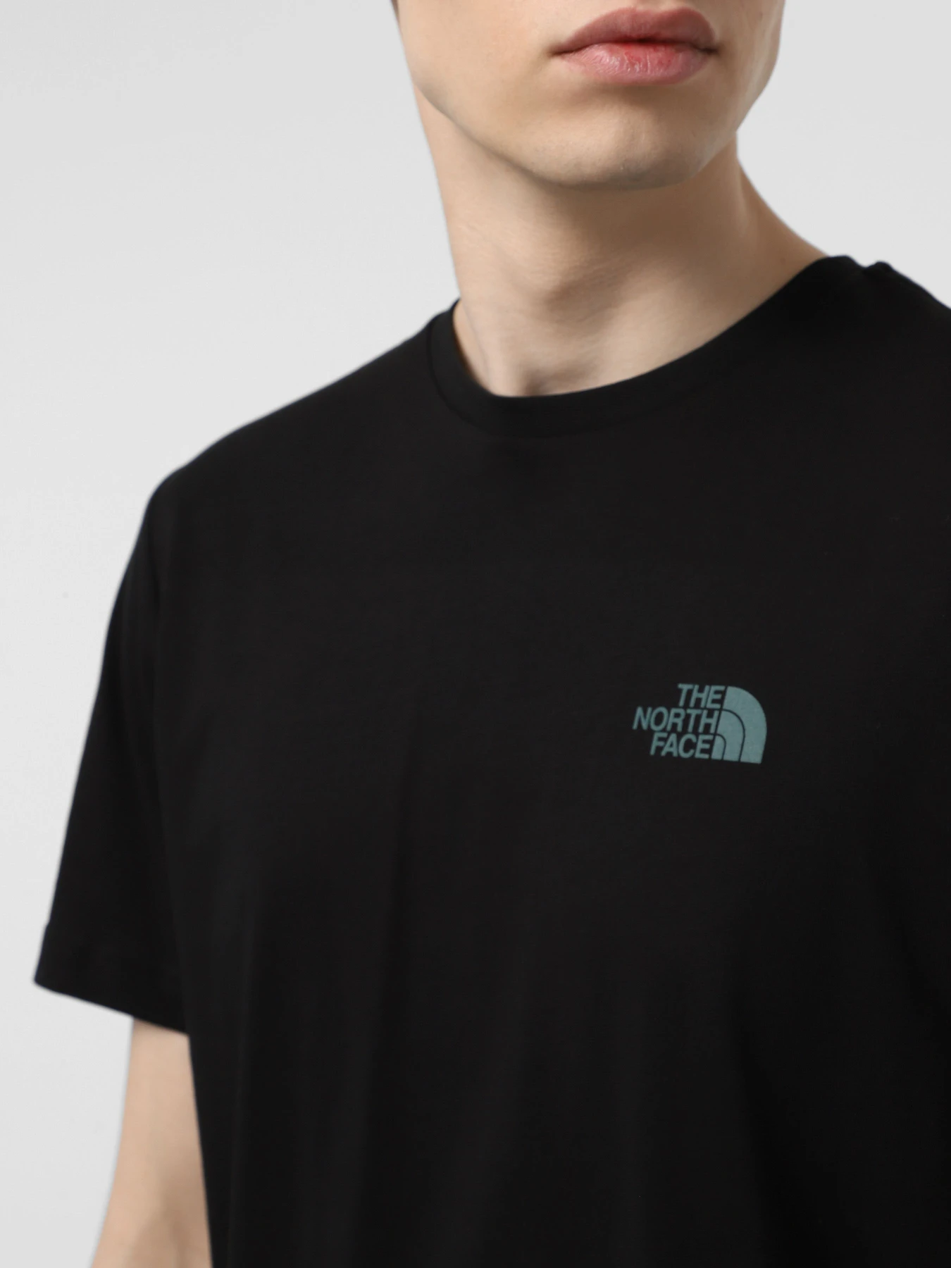 Футболки и поло The North Face NSE Box модель NF0A8C4U9431 Футболки и поло The North Face NSE Box модель NF0A8C4U9431 Фото