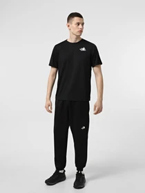 Футболки и поло The North Face 24/7 Graphic модель NF0A895JJK31 Фото