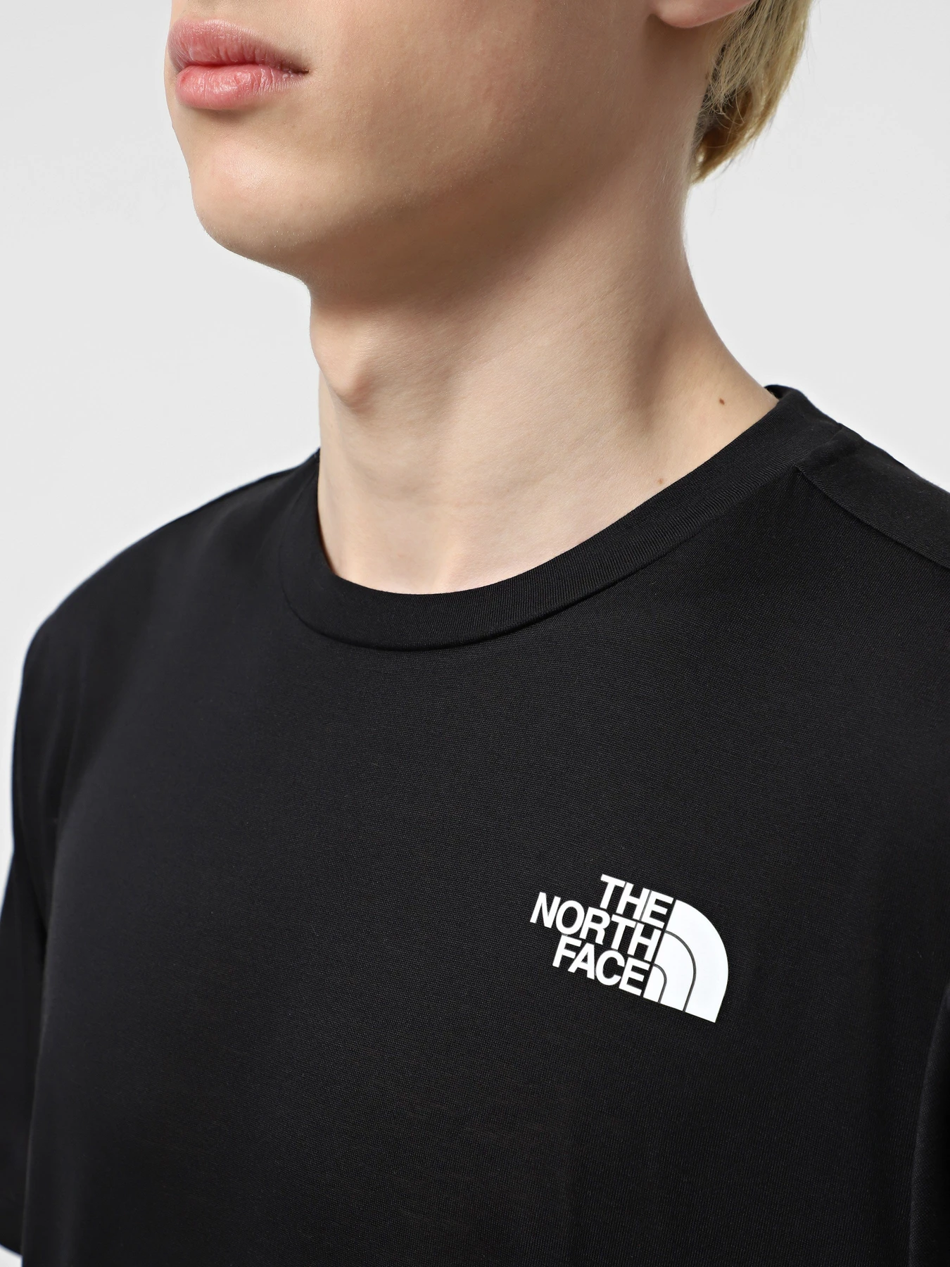 Футболки и поло The North Face Foundation Mountains Faces модель NF0A8BQWJK31 Футболки и поло The North Face Foundation Mountains Faces модель NF0A8BQWJK31 Фото