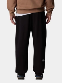 Брюки The North Face Essential Relaxed Straight модель NF0A8C1FJK31 Фото