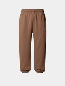 Брюки The North Face Essential Relaxed Straight модель NF0A8C1F6IH1 Фото