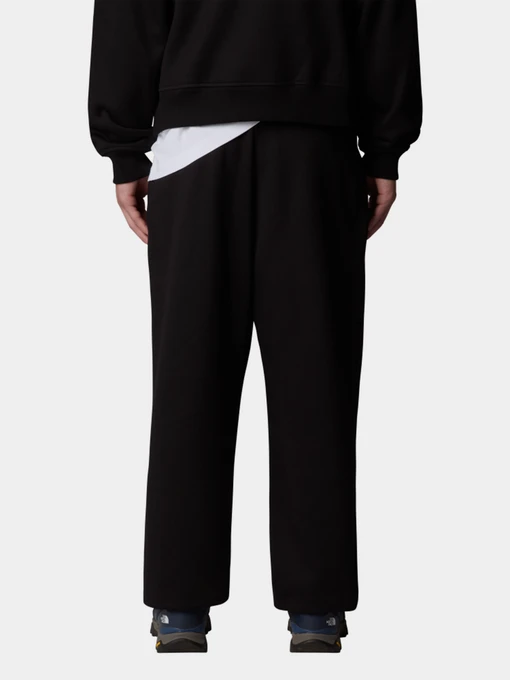 Бавовняні Чоловічі Джогери The North Face Axys Relaxed фото 2
