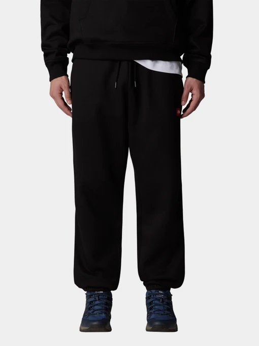 Брюки The North Face Axys Relaxed модель NF0A8C1UJK31 Фото