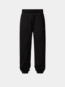 Брюки The North Face Axys Relaxed модель NF0A8C1UJK31 Фото