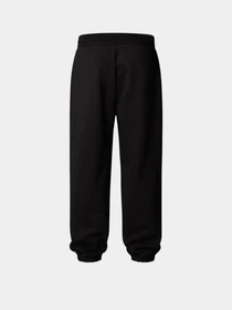 Брюки The North Face Axys Relaxed модель NF0A8C1UJK31 Фото