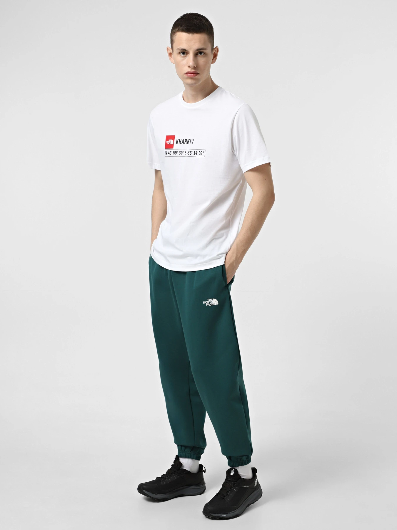 Брюки The North Face Simple Dome модель NF0A8C1W6GI1 Брюки The North Face Simple Dome модель NF0A8C1W6GI1 Фото