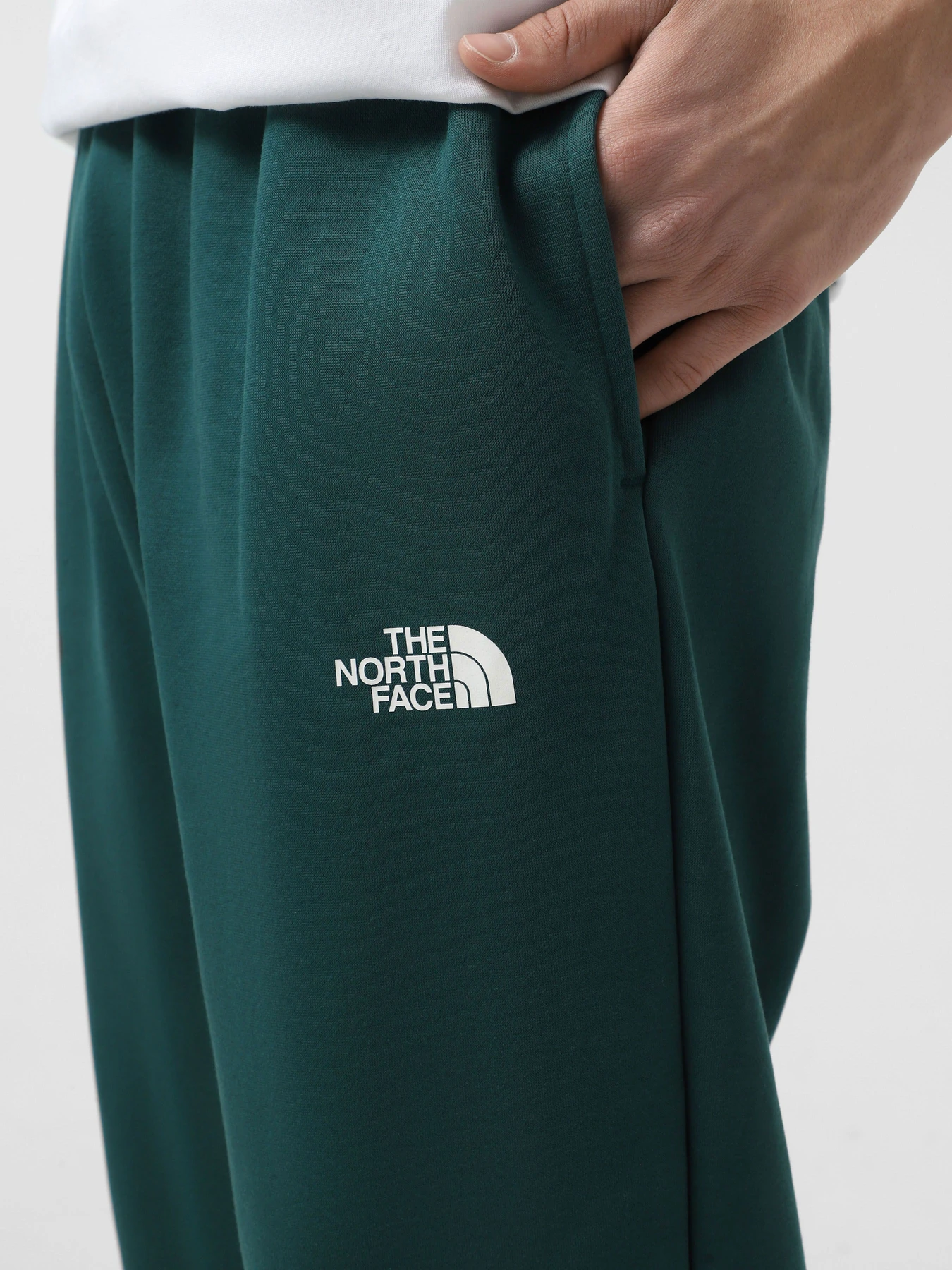 Брюки The North Face Simple Dome модель NF0A8C1W6GI1 Брюки The North Face Simple Dome модель NF0A8C1W6GI1 Фото