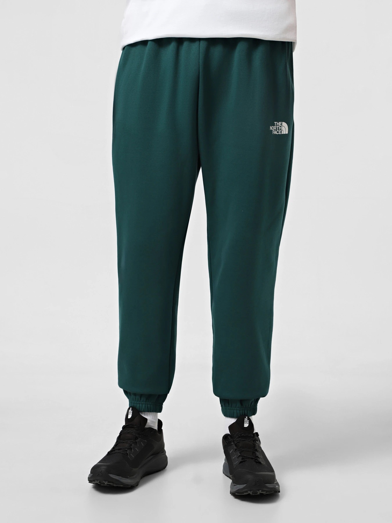 Брюки The North Face Simple Dome модель NF0A8C1W6GI1 Брюки The North Face Simple Dome модель NF0A8C1W6GI1 Фото