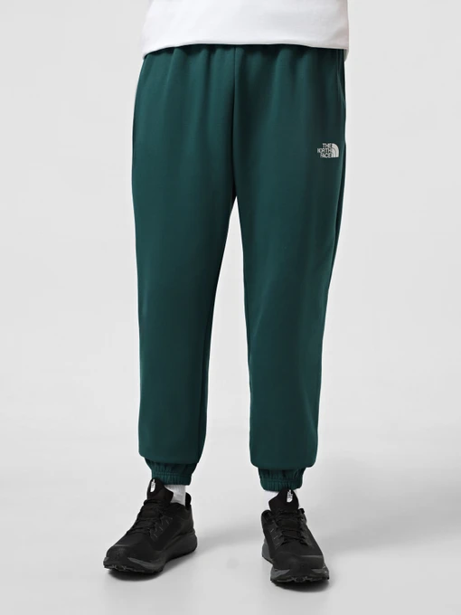Брюки The North Face Simple Dome модель NF0A8C1W6GI1 Фото