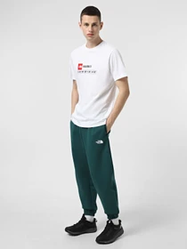 Брюки The North Face Simple Dome модель NF0A8C1W6GI1 Фото