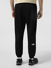 Брюки The North Face Simple Dome модель NF0A8C1WJK31 Фото