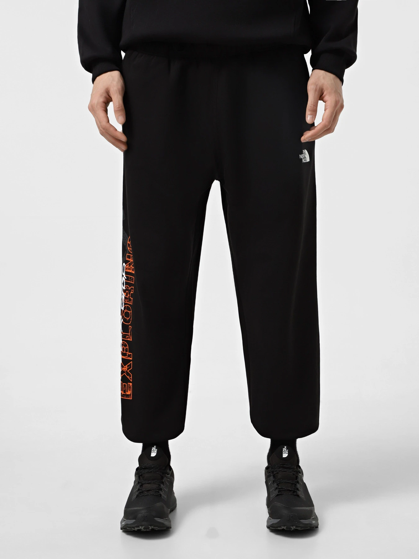 Брюки The North Face Nse Relaxed модель NF0A8C3WJK31 Брюки The North Face Nse Relaxed модель NF0A8C3WJK31 Фото