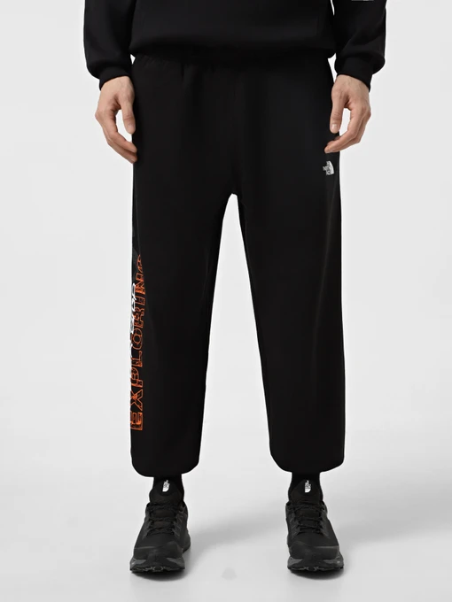 Брюки The North Face Nse Relaxed модель NF0A8C3WJK31 Фото