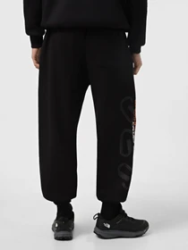 Брюки The North Face Nse Relaxed модель NF0A8C3WJK31 Фото