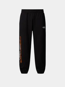 Брюки The North Face Nse Relaxed модель NF0A8C3WJK31 Фото