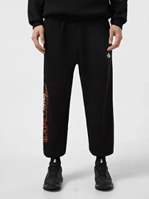 Брюки The North Face Nse Relaxed модель NF0A8C3WJK31 Фото